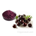 Meilleur prix ACAI BERRY Extrait maqui-berry Powder